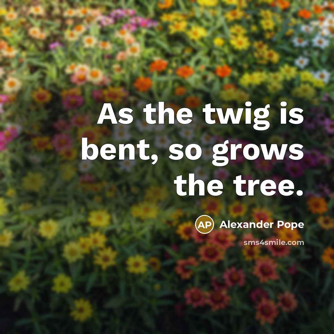 “As the twig is bent, so grows the tree.…” quote by Alexander Pope