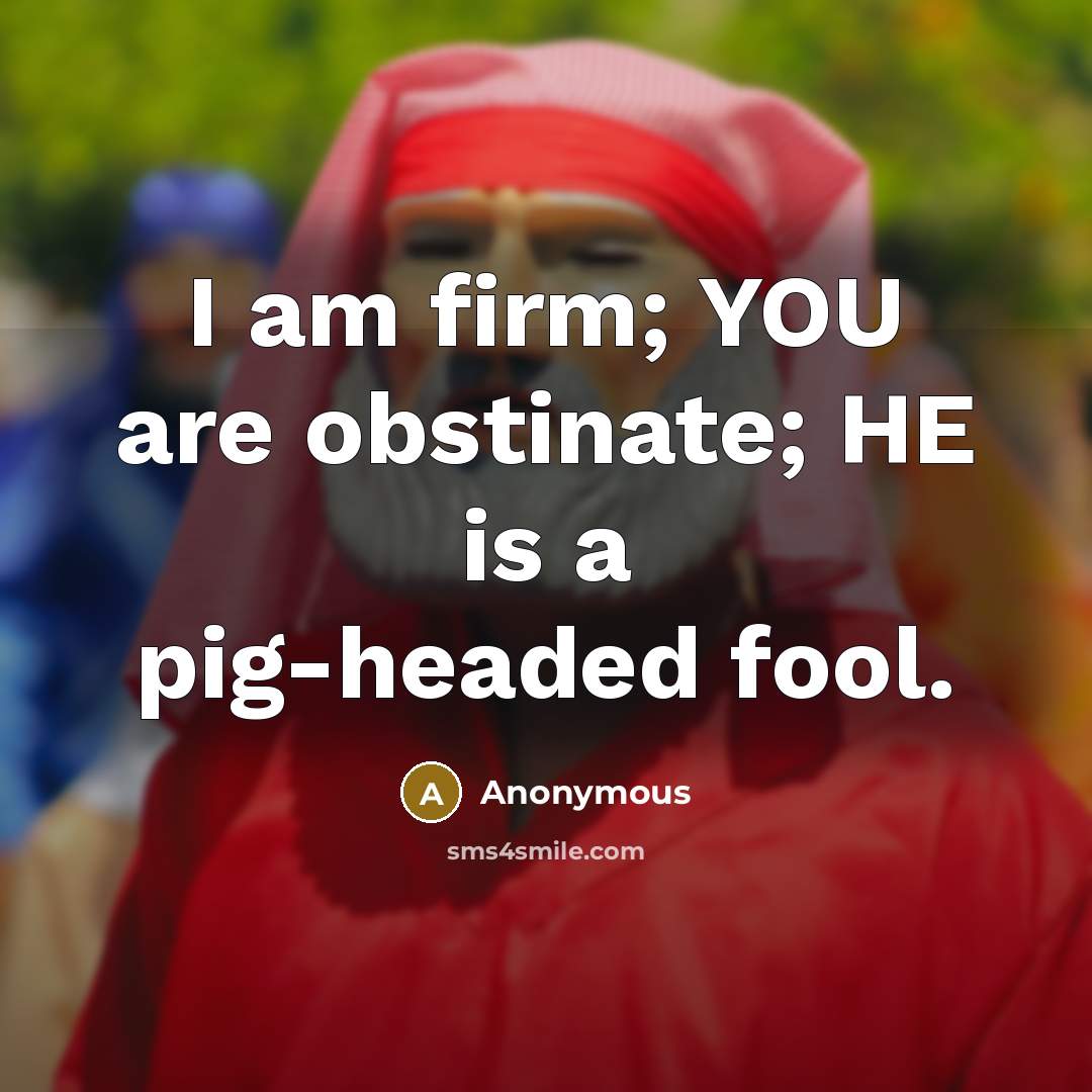 “I am firm; YOU are obstinate; HE is a pig-headed…” quote by Anonymous