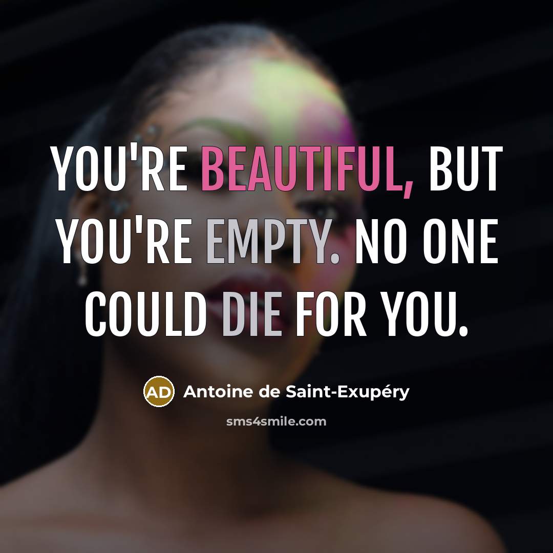 “You're beautiful, but you're empty. No one could die for…” quote by Antoine de Saint-Exupery
