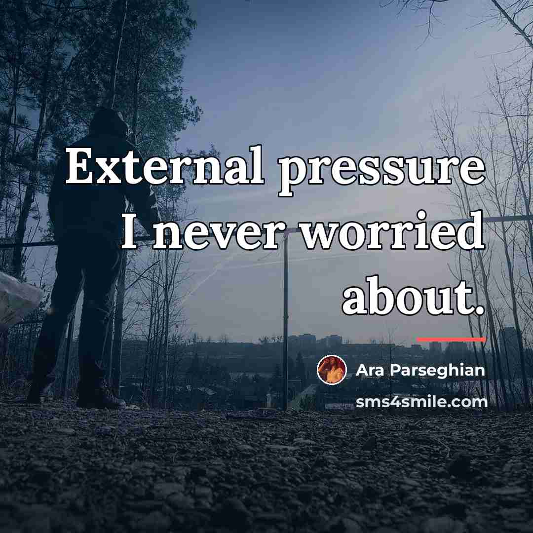 “External pressure I never worried about.…” quote by Ara Parseghian