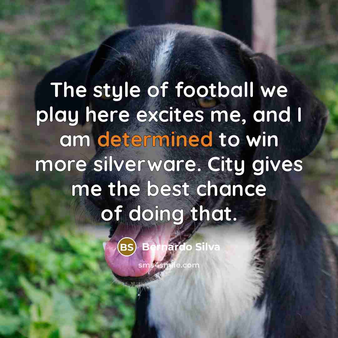 “The style of football we play here excites me, and…” quote by Bernardo Silva