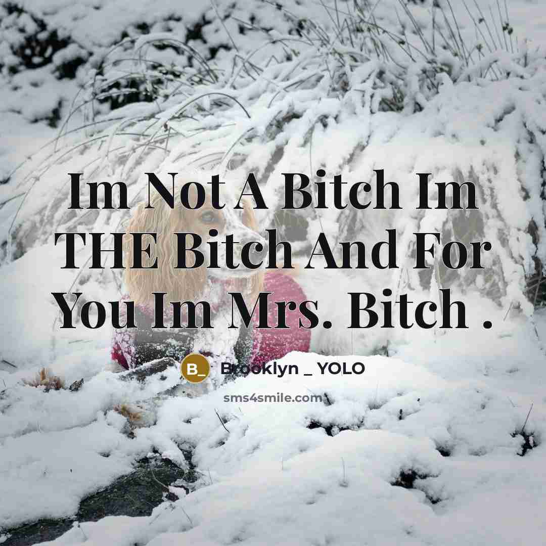 “Im Not A Bitch Im THE Bitch And For You Im Mrs. Bitch .” quote by Brooklyn _ YOLO