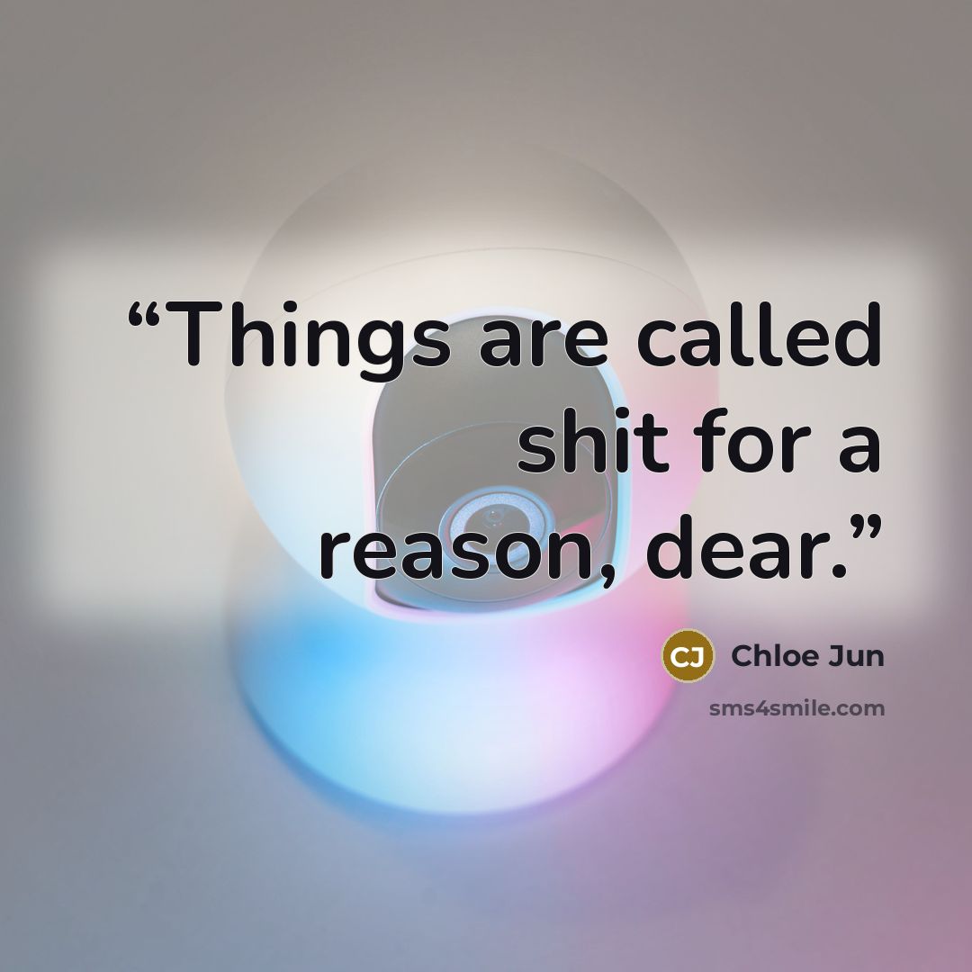 “Things are called shit for a reason, dear.” quote by Chloe Jun