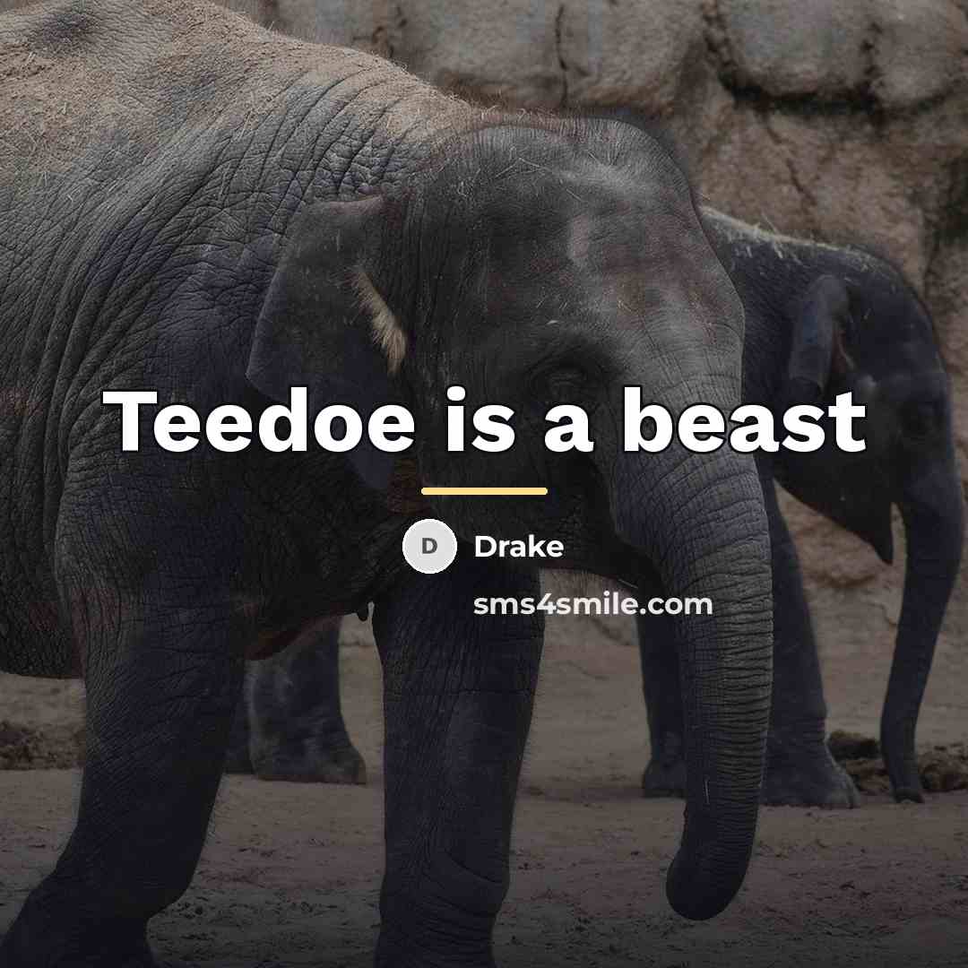 “Teedoe is a beast…” quote by Drake