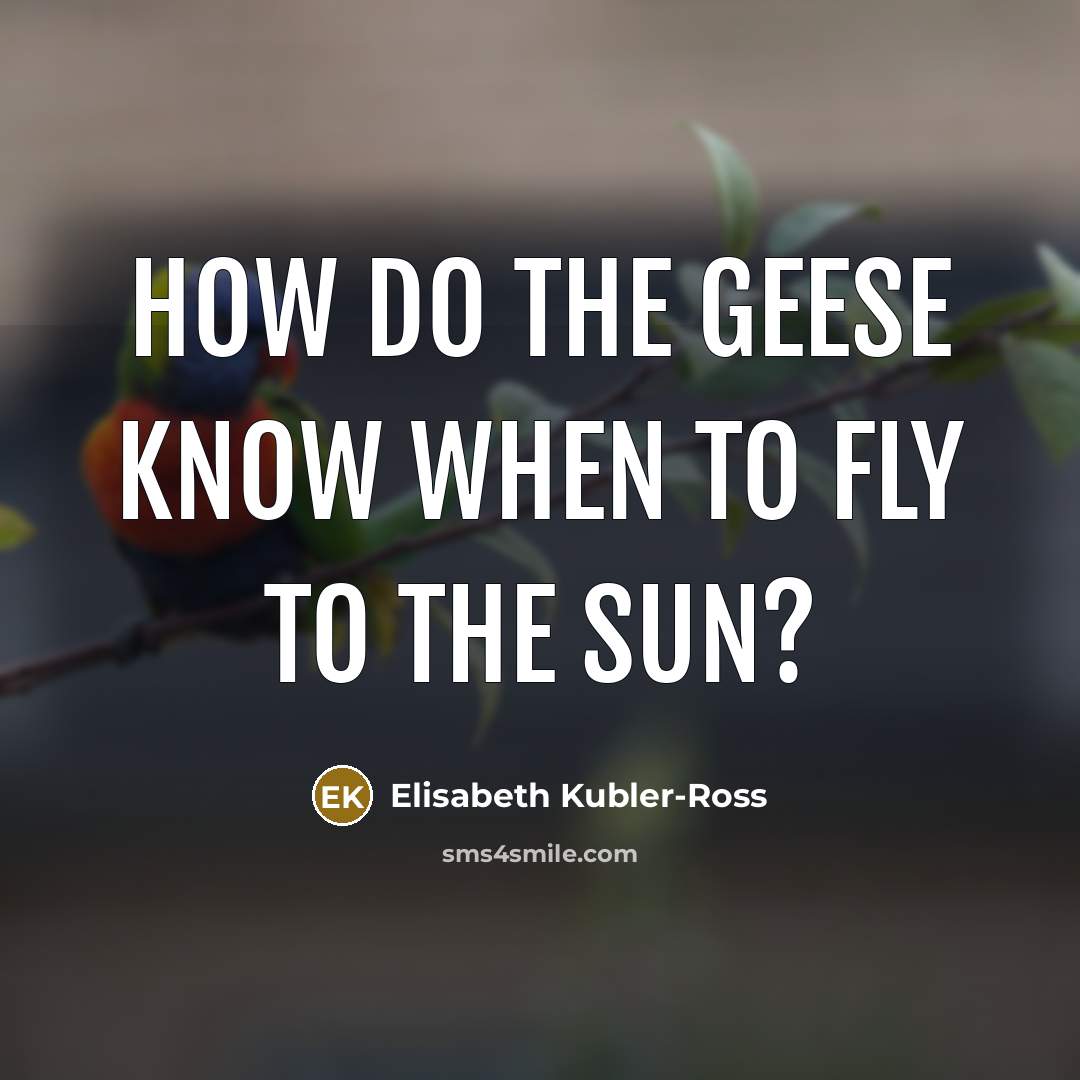 “How do the geese know when to fly to the sun?” quote by Elisabeth Kubler-Ross