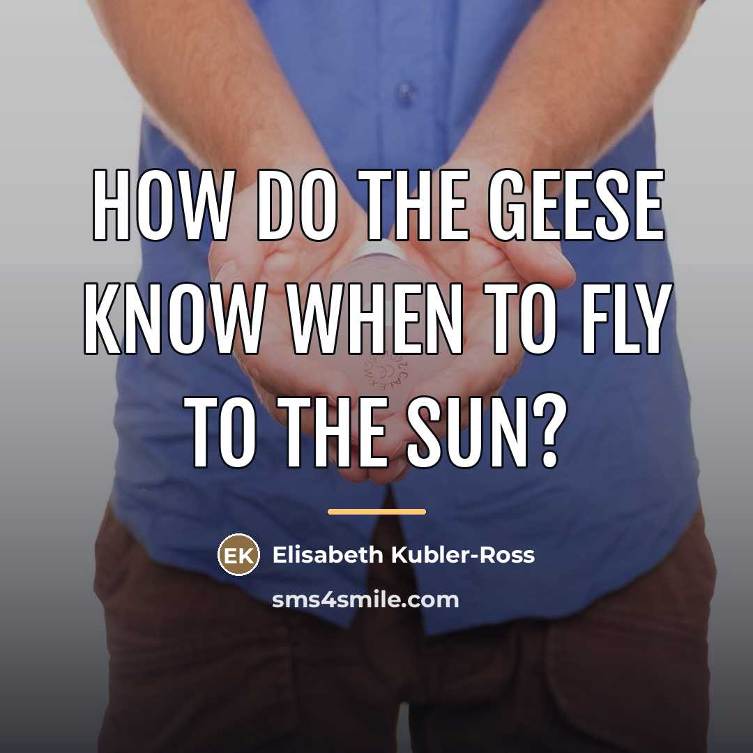 “How do the geese know when to fly to the…” quote by Elisabeth Kubler-Ross