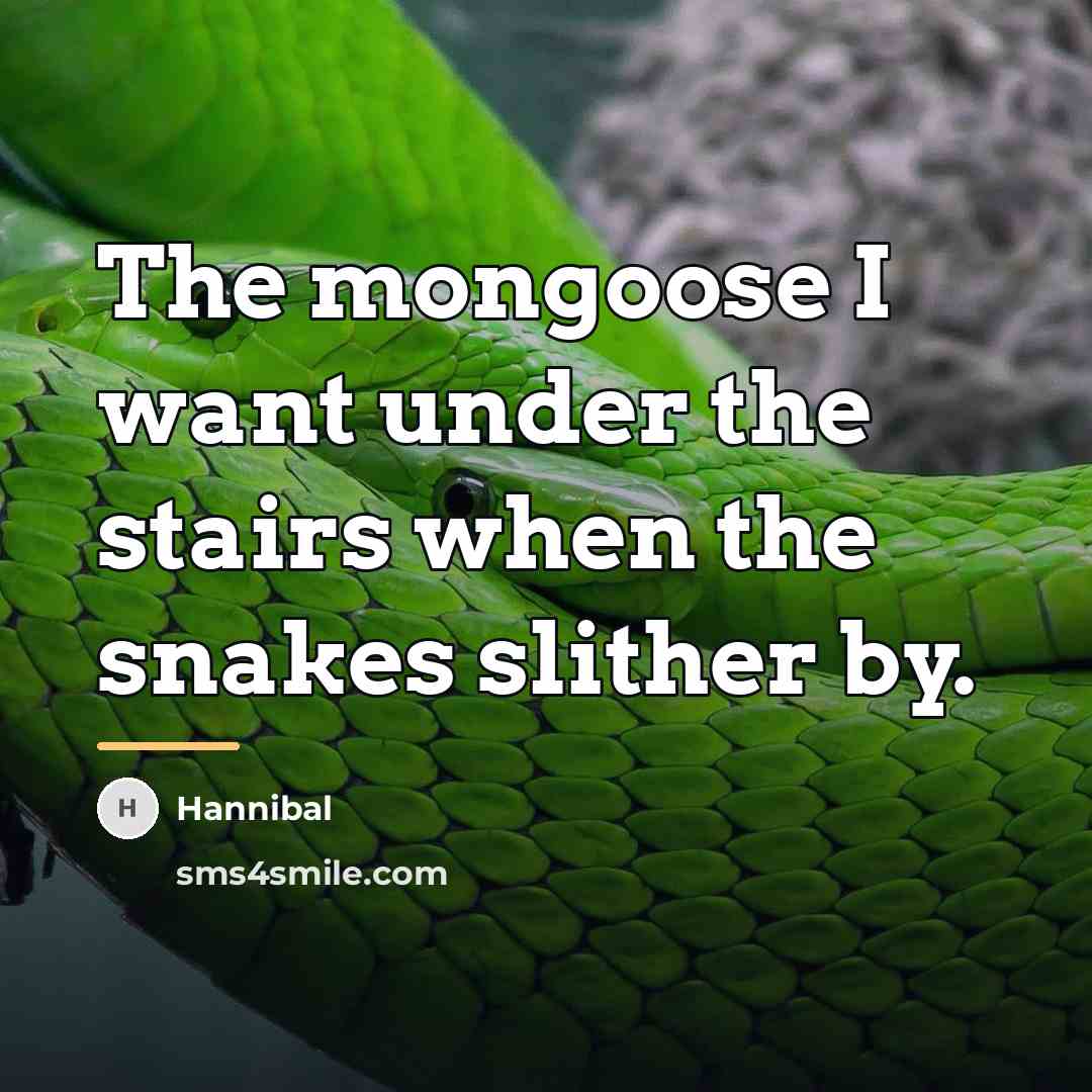 “The mongoose I want under the stairs when the snakes…” quote by Hannibal