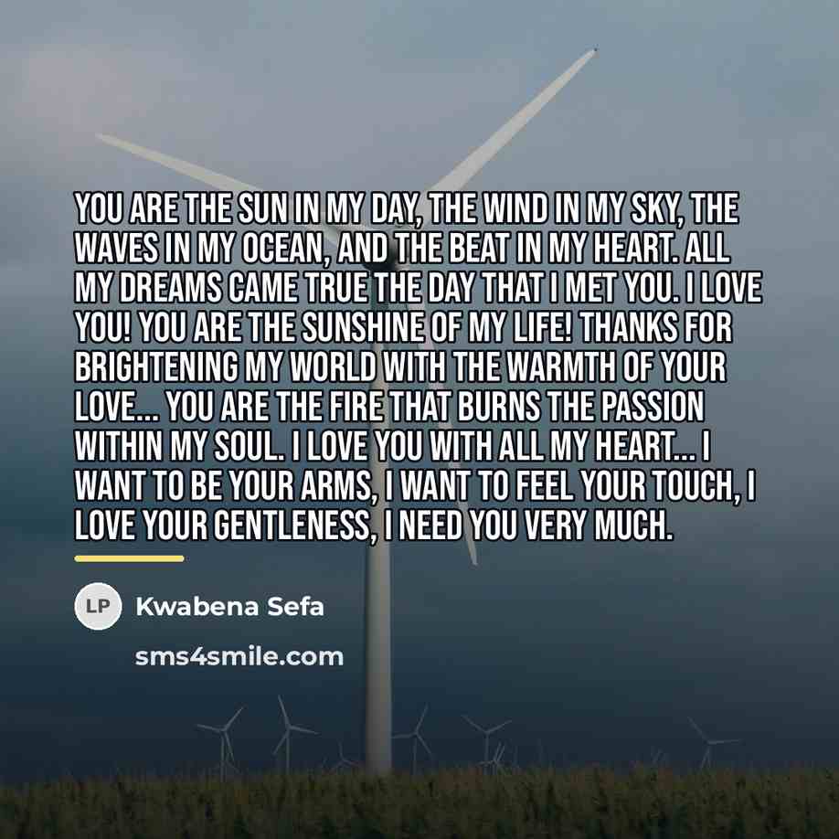 “You are the sun in my day, the wind in…” quote by Kwabena Sefa