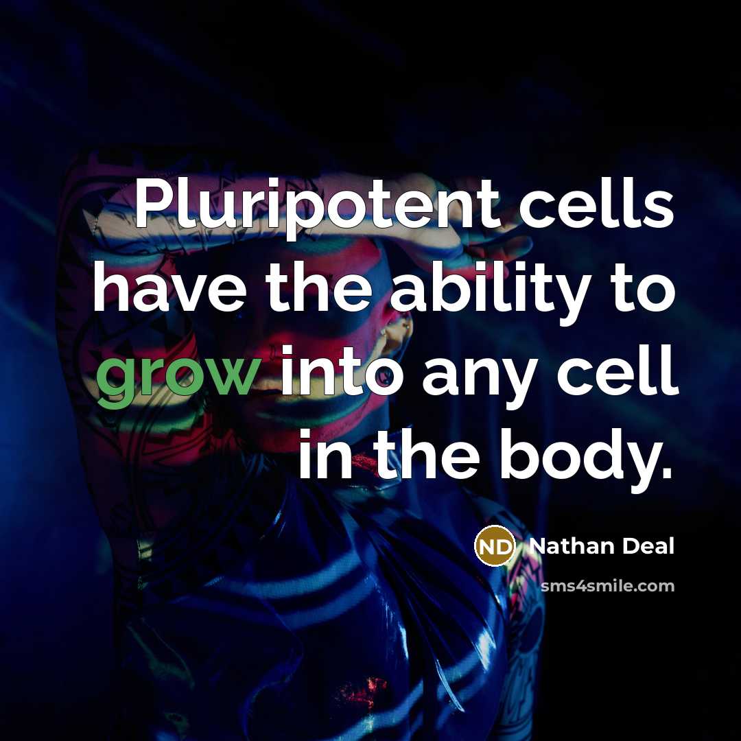 “Pluripotent cells have the ability to grow into any cell…” quote by Nathan Deal