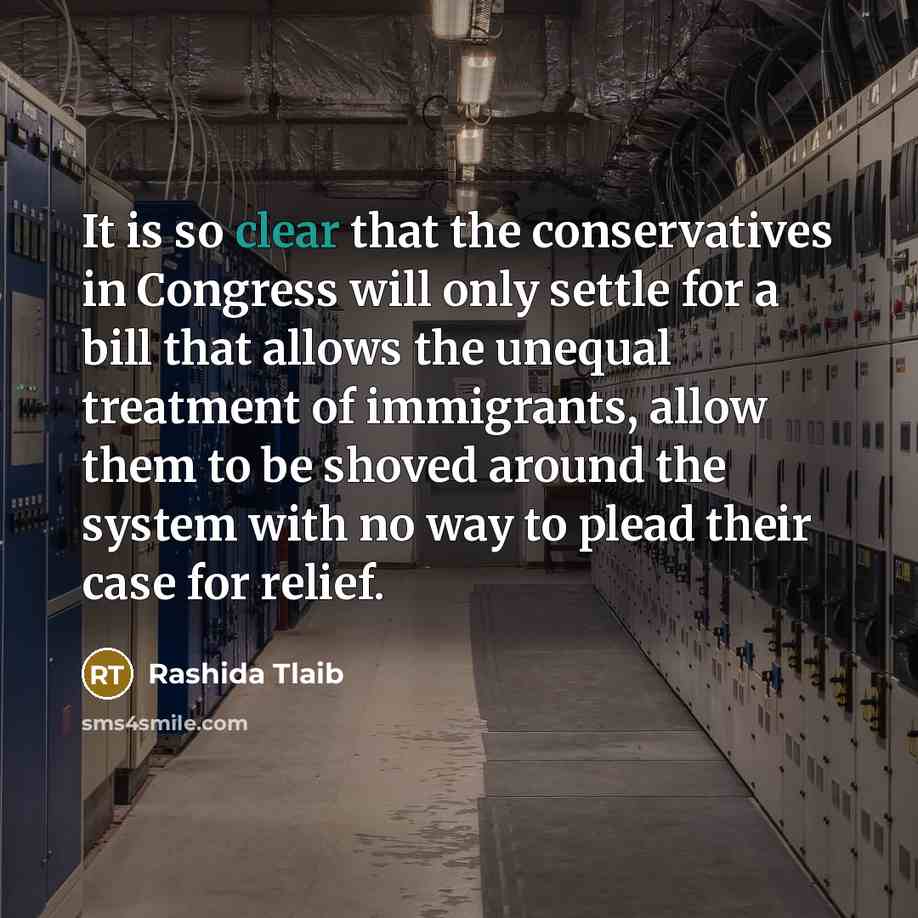 “It is so clear that the conservatives in Congress will only settle for a bill that allows the unequal treatment of immigrants, allow them to be shoved around the system with no way to plead their case for relief.” quote by Rashida Tlaib