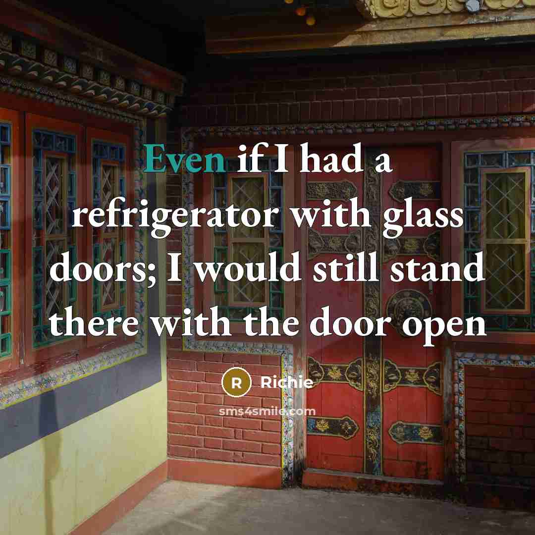 “Even if I had a refrigerator with glass doors; I…” quote by Richie