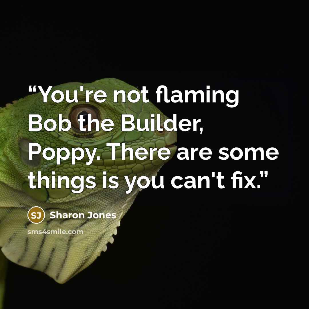 “You're not flaming Bob the Builder, Poppy. There are some things is you can't fix.” quote by Sharon Jones