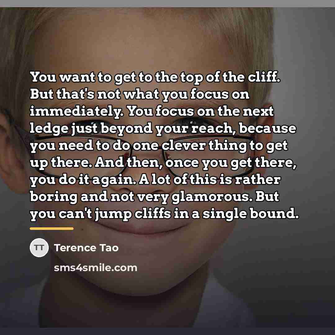 “You want to get to the top of the cliff.…” quote by Terence Tao