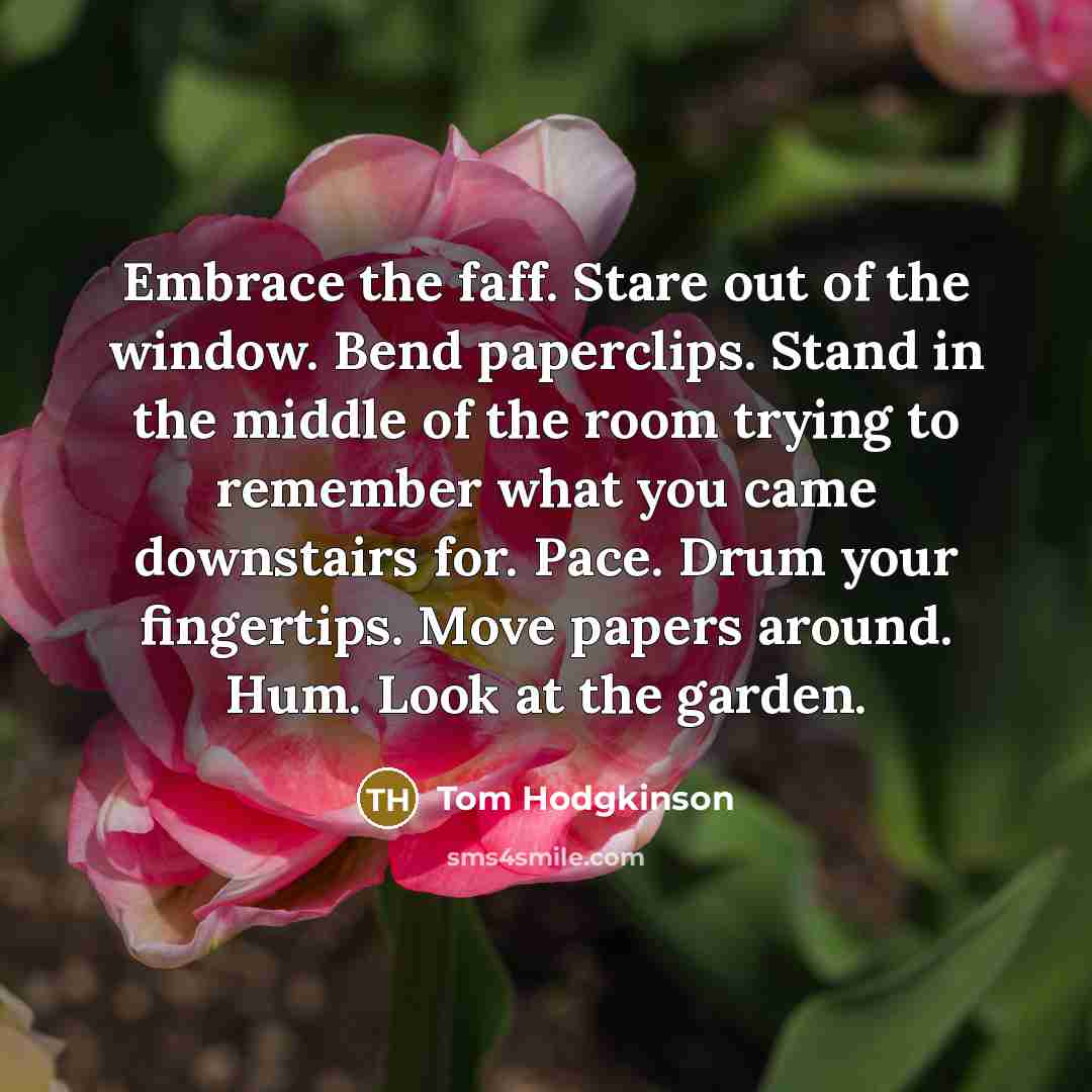 “Embrace the faff. Stare out of the window. Bend paperclips.…” quote by Tom Hodgkinson