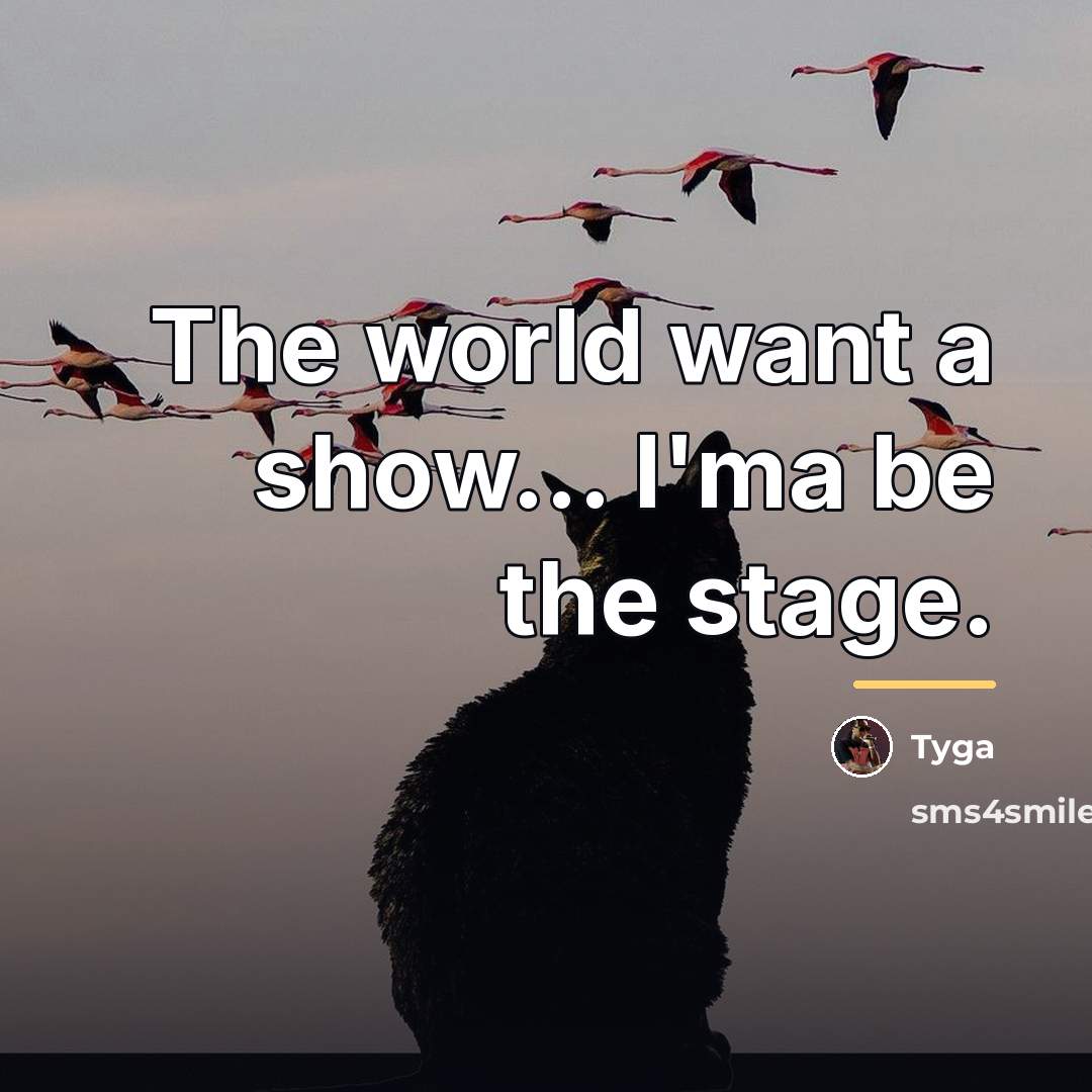 “The world want a show... I'ma be the stage.…” quote by Tyga