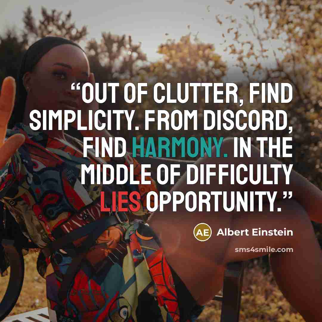 “Out of clutter, find simplicity. From discord, find harmony. In the middle of difficulty lies opportunity.” quote by Albert Einstein