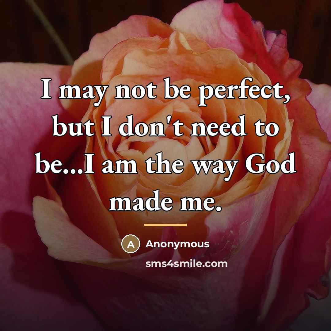 “I may not be perfect, but I don't need to…” quote by Anonymous