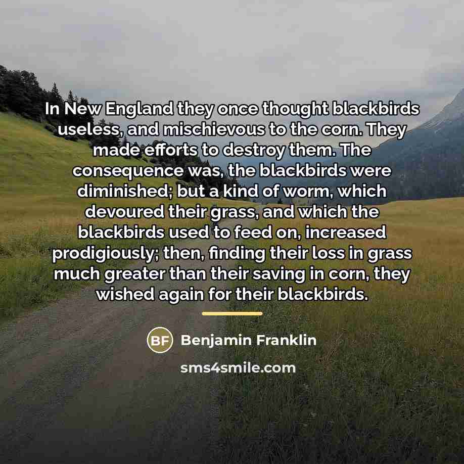 “In New England they once thought blackbirds useless, and mischievous…” quote by Benjamin Franklin