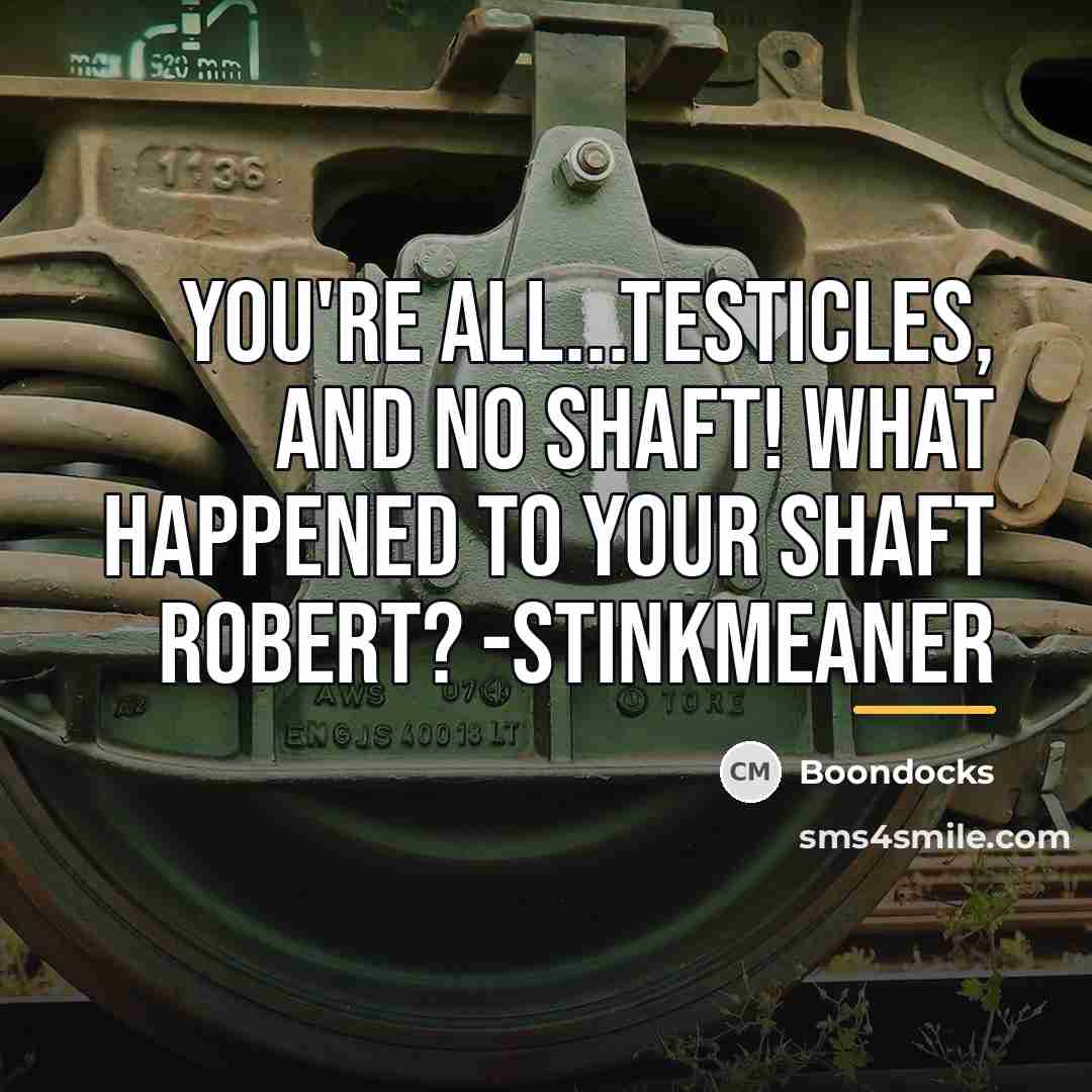 “You're all...testicles, and no shaft! What happened to your shaft…” quote by Boondocks