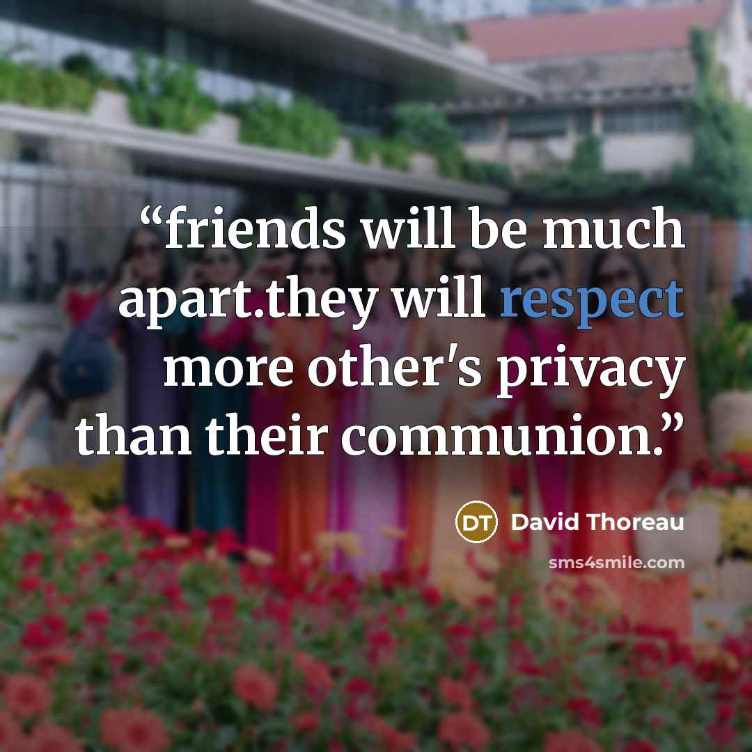 “friends will be much apart.they will respect more other's privacy than their communion.” quote by David Thoreau