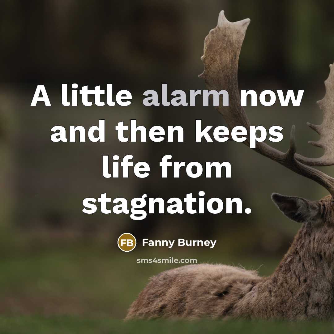 “A little alarm now and then keeps life from stagnation.” quote by Fanny Burney