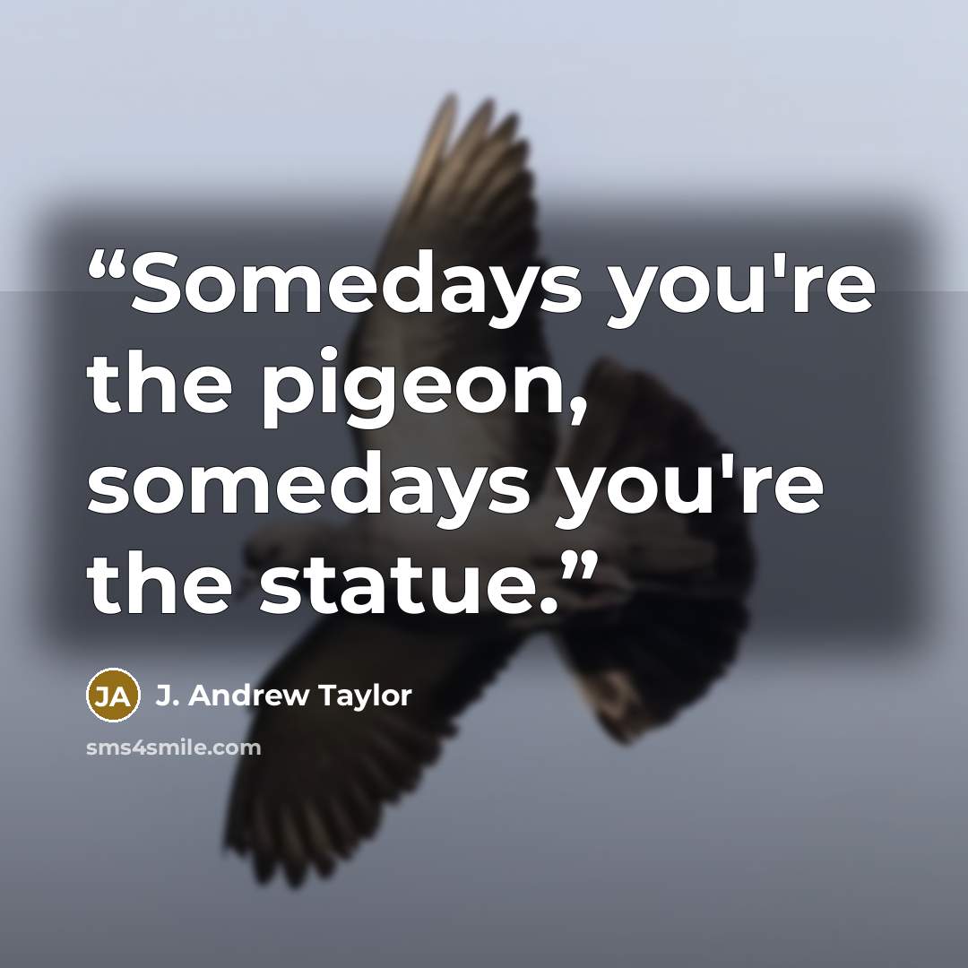 “Somedays you're the pigeon, somedays you're the statue.” quote by J. Andrew Taylor