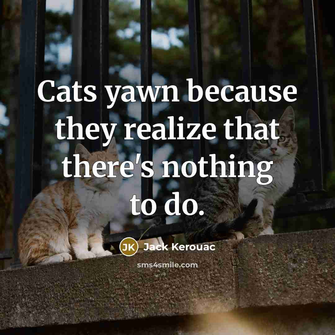 “Cats yawn because they realize that there's nothing to do.…” quote by Jack Kerouac
