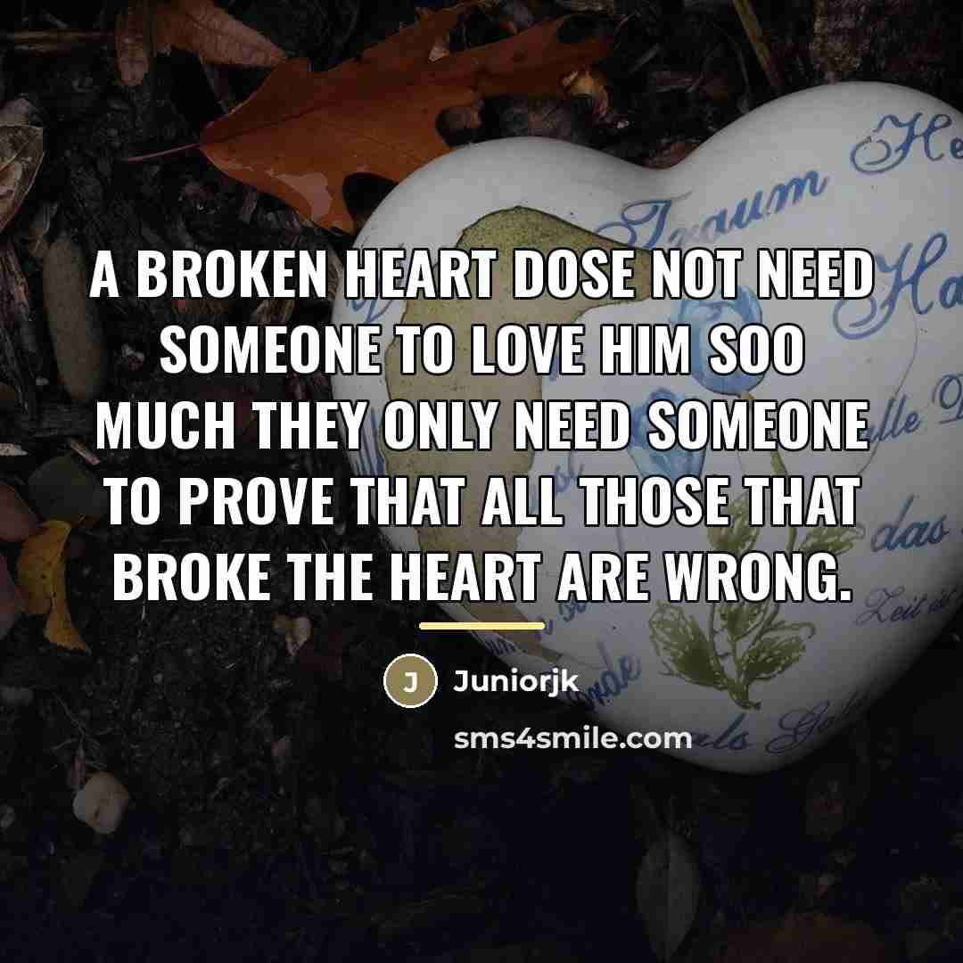 “A broken heart dose not need someone to love him…” quote by Juniorjk