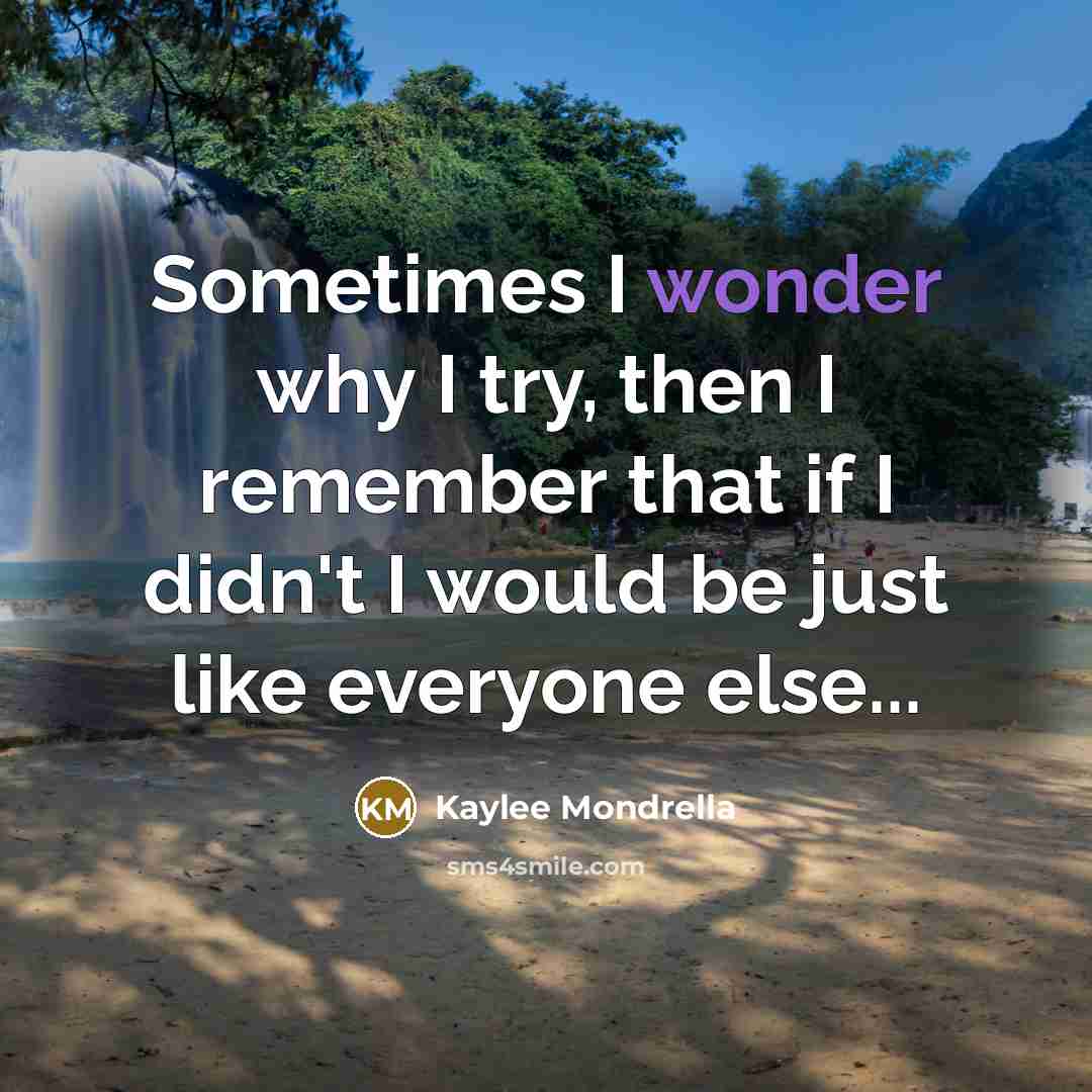 “Sometimes I wonder why I try, then I remember that…” quote by Kaylee Mondrella