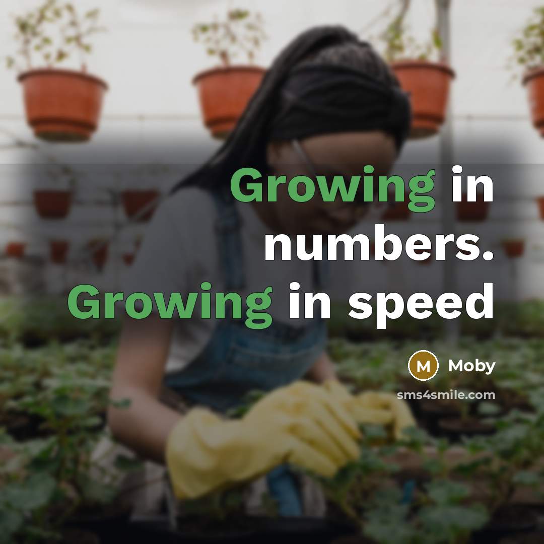 “Growing in numbers. Growing in speed” quote by Moby