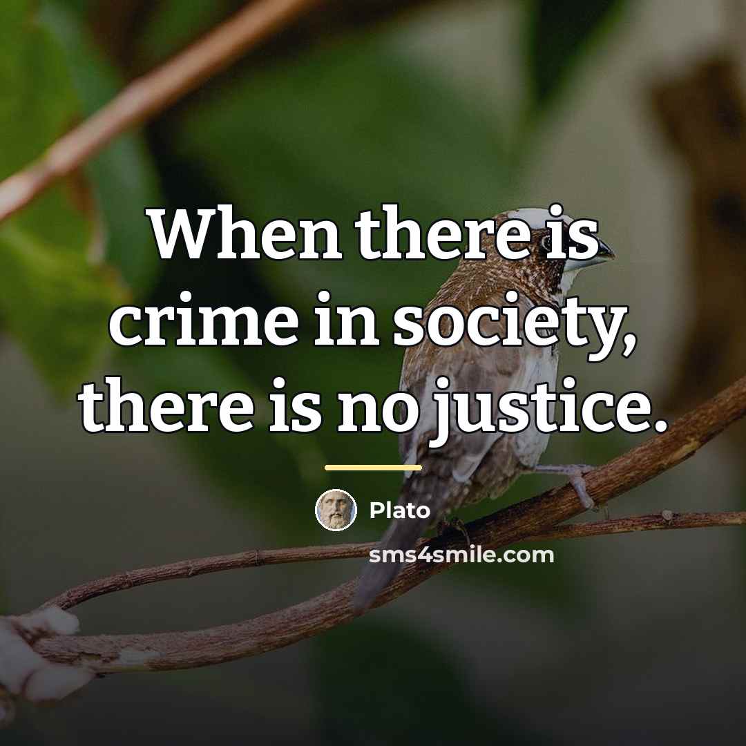 “When there is crime in society, there is no justice.…” quote by Plato