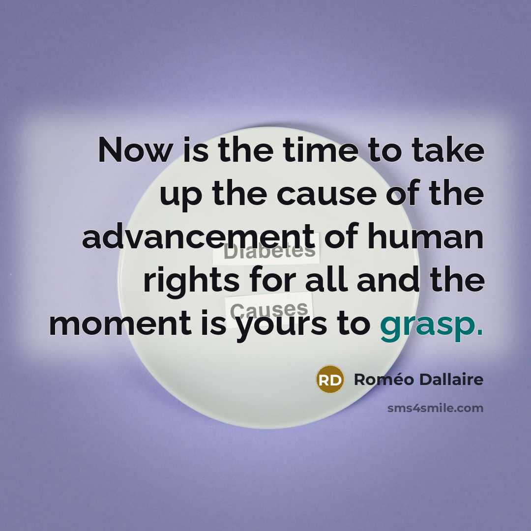 “Now is the time to take up the cause of…” quote by Roméo Dallaire