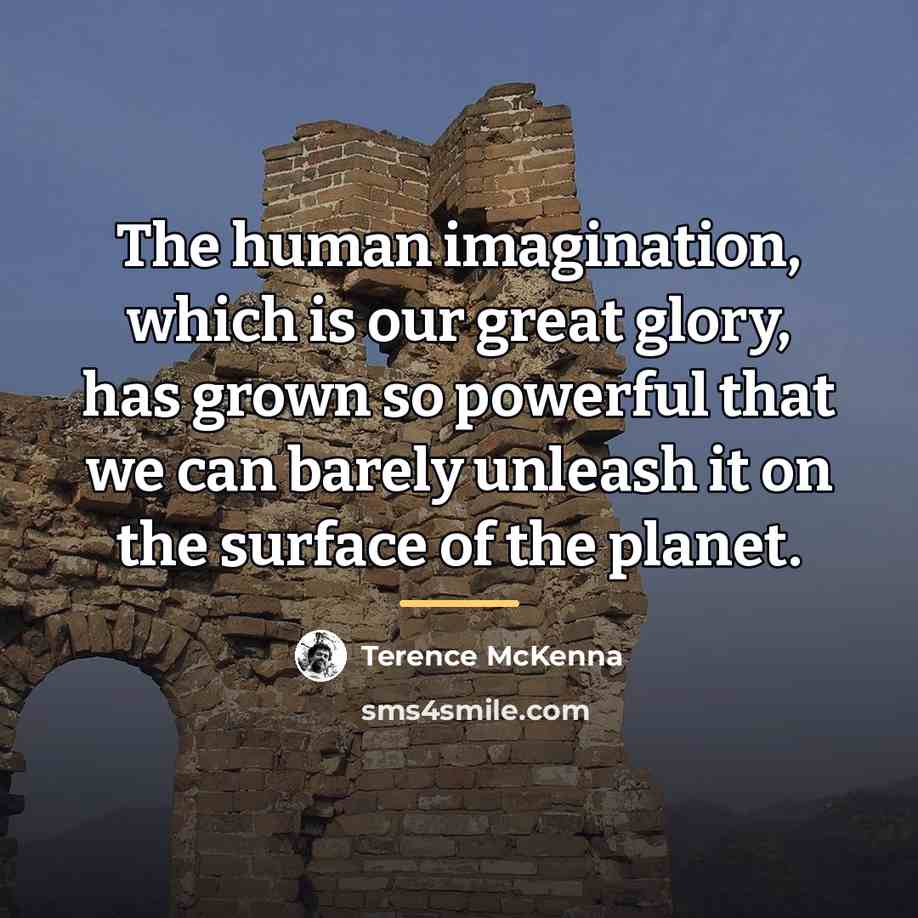 “The human imagination, which is our great glory, has grown…” quote by Terence McKenna
