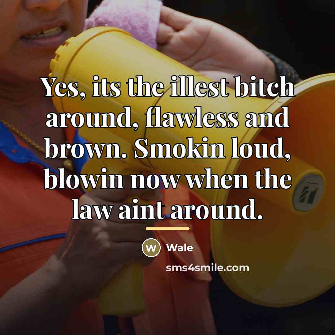 “Yes, its the illest bitch around, flawless and brown. Smokin…” quote by Wale