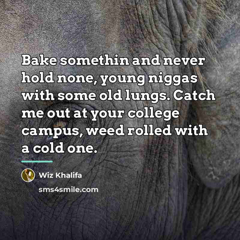 “Bake somethin and never hold none, young niggas with some…” quote by Wiz Khalifa