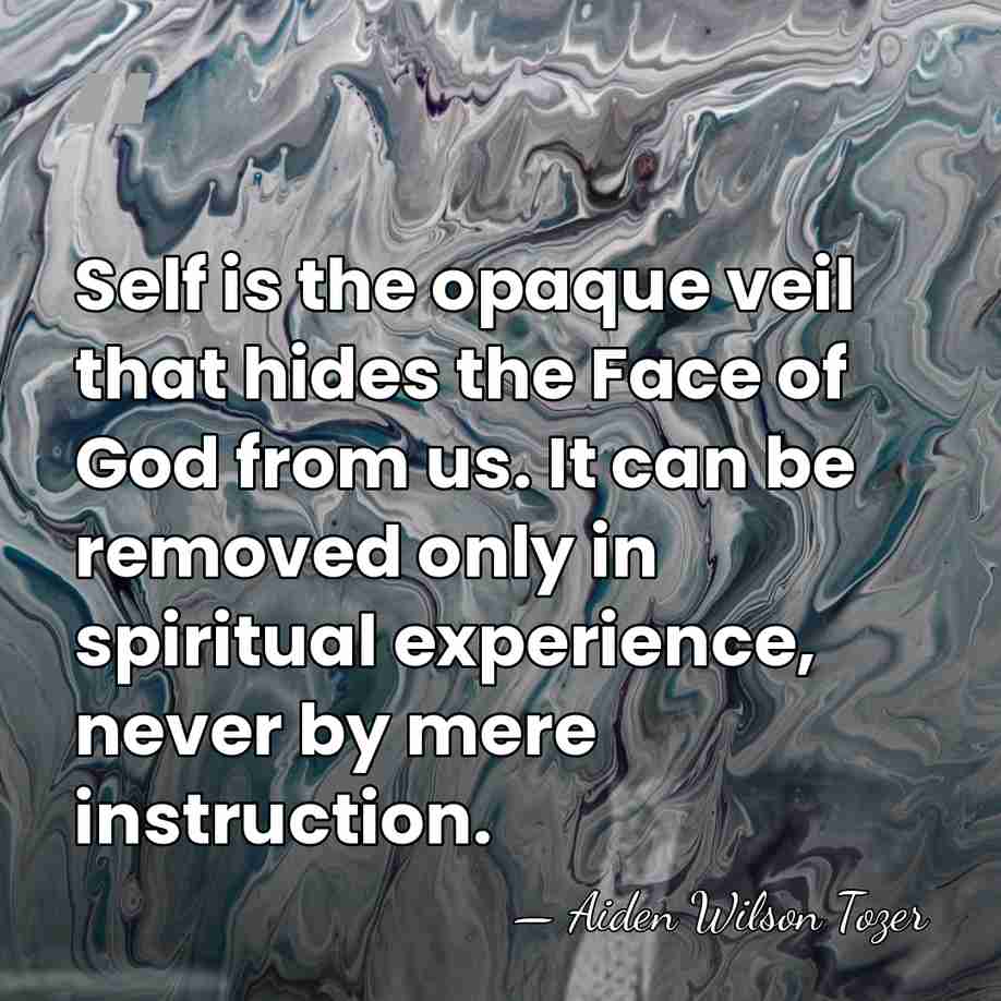Self is the opaque veil that hides the Face of God from&hellip; - Aiden Wilson Tozer