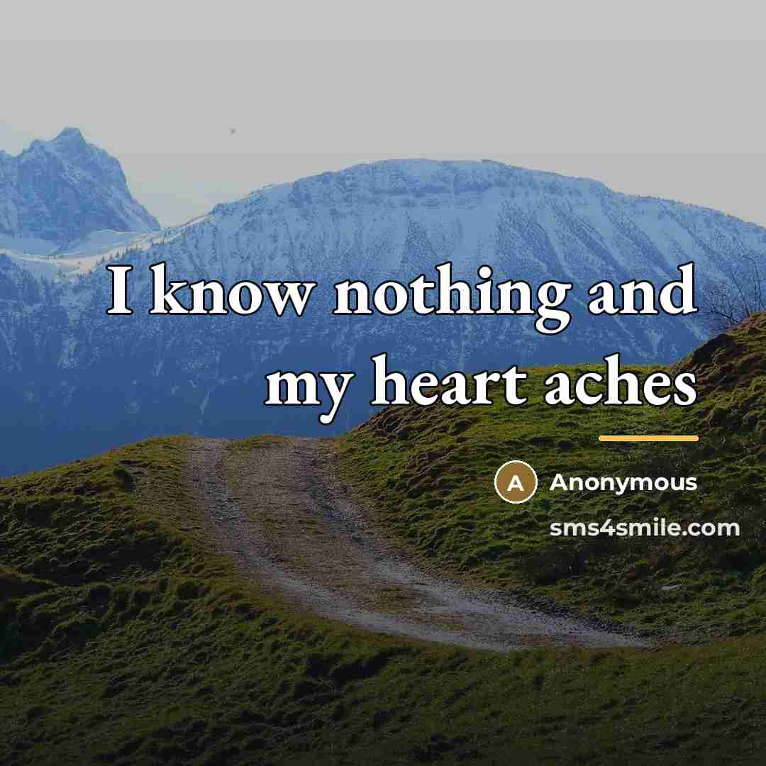“I know nothing and my heart aches…” quote by Anonymous