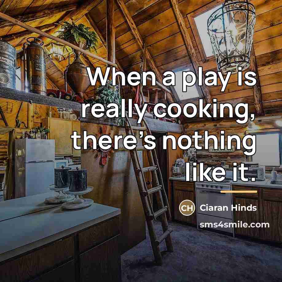 “When a play is really cooking, there's nothing like it.…” quote by Ciaran Hinds