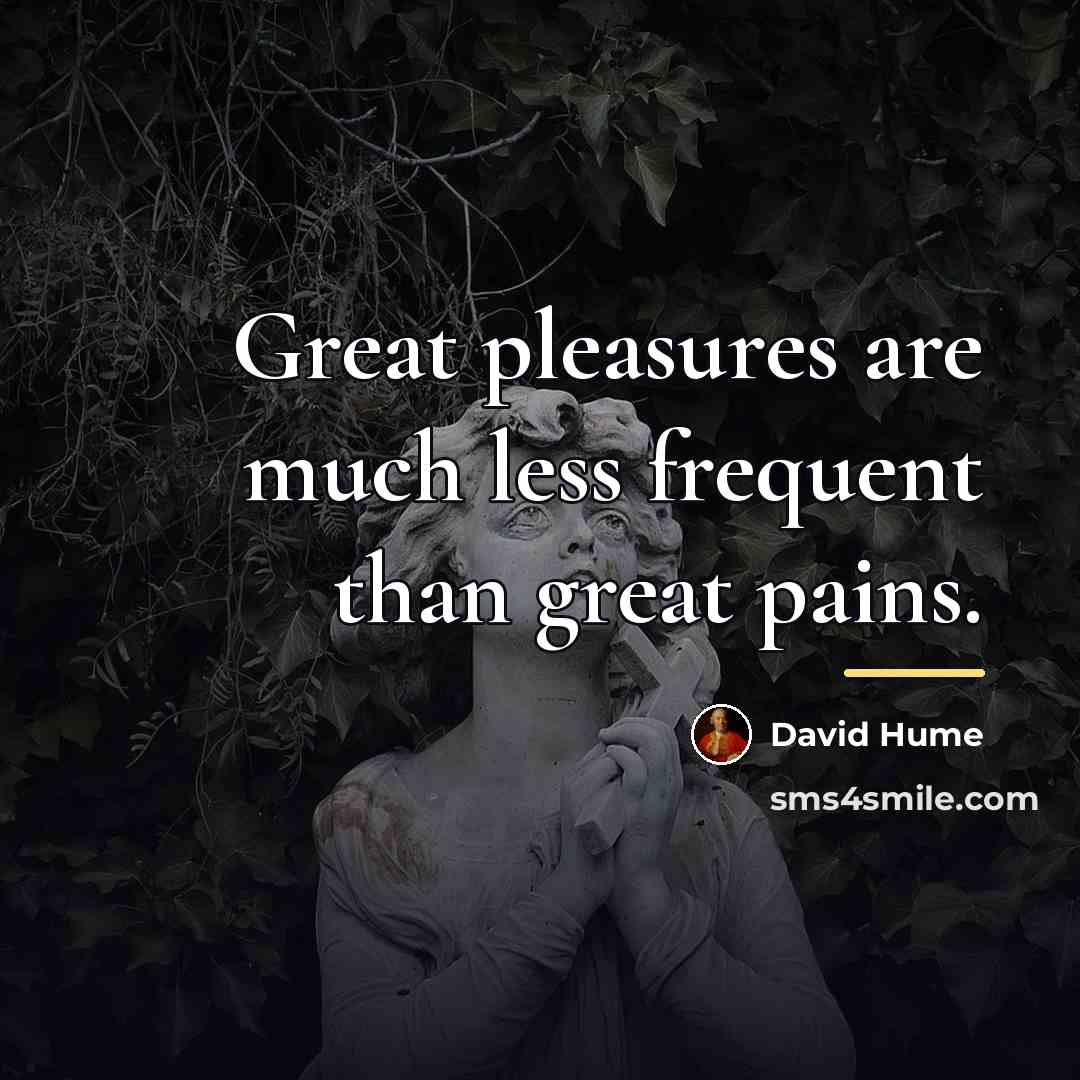 “Great pleasures are much less frequent than great pains.…” quote by David Hume
