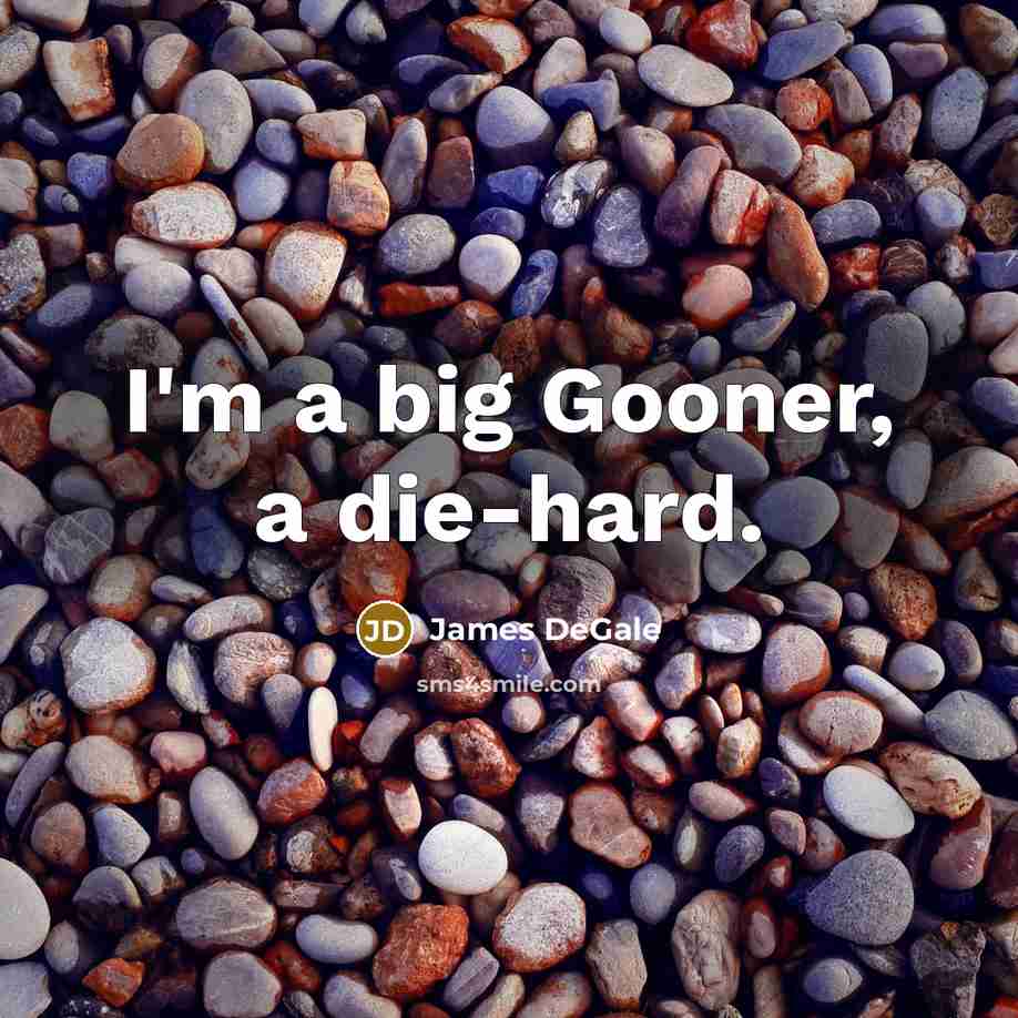 “I'm a big Gooner, a die-hard.…” quote by James DeGale
