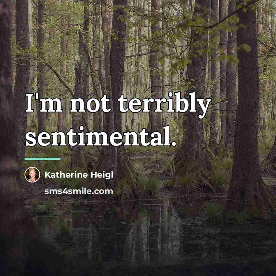 “I'm not terribly sentimental.…” quote by Katherine Heigl