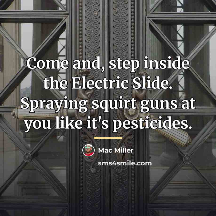 “Come and, step inside the Electric Slide. Spraying squirt guns…” quote by Mac Miller