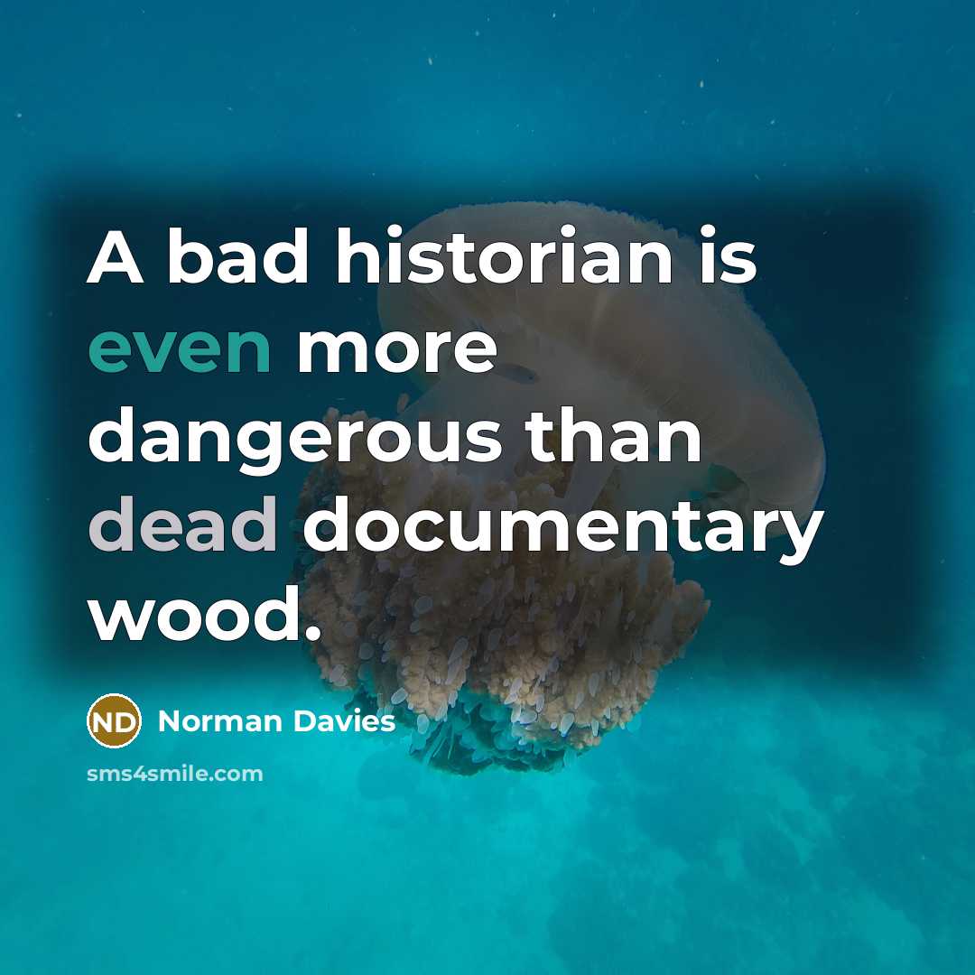 “A bad historian is even more dangerous than dead documentary…” quote by Norman Davies
