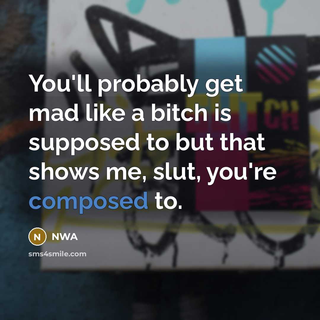 “You'll probably get mad like a bitch is supposed to…” quote by NWA