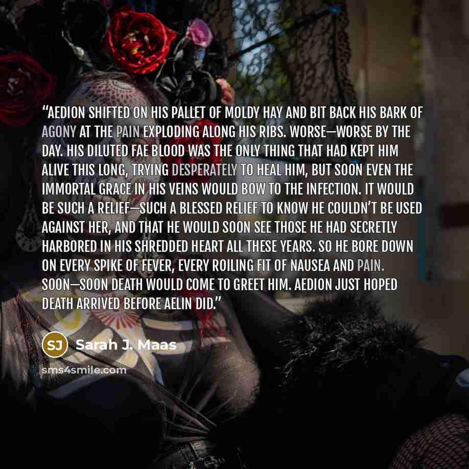 “Aedion shifted on his pallet of moldy hay and bit back his bark of agony at the pain exploding along his ribs. Worse—worse by the day. His diluted Fae blood was the only thing that had kept him alive this long, trying desperately to heal him, but soon even the immortal grace in his veins would bow…” quote by Sarah J. Maas
