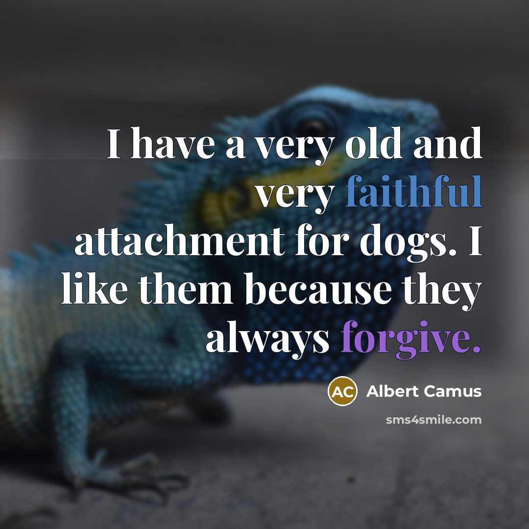 “I have a very old and very faithful attachment for…” quote by Albert Camus