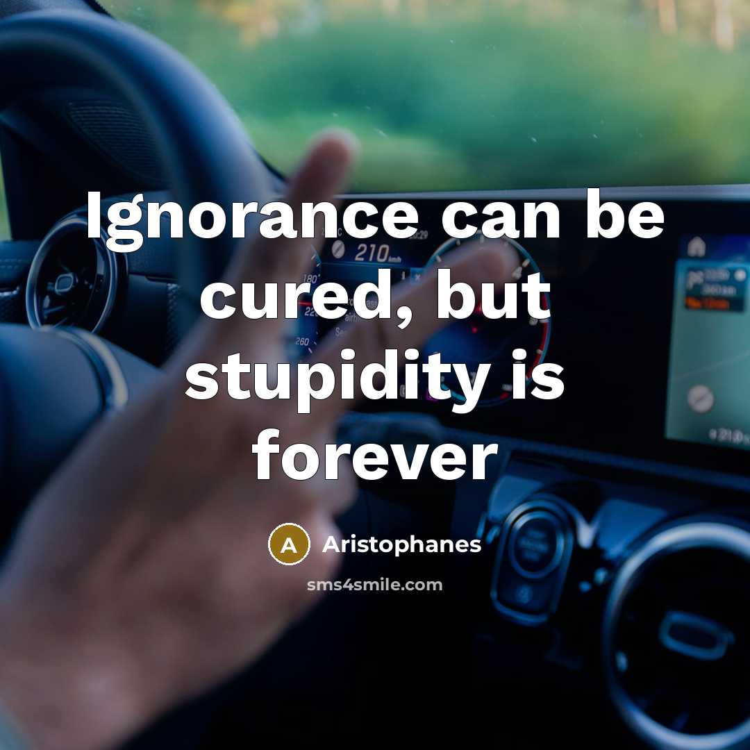 “Ignorance can be cured, but stupidity is forever…” quote by Aristophanes