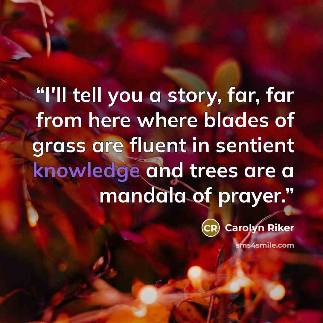 “I'll tell you a story, far, far from here where blades of grass are fluent in sentient knowledge and trees are a mandala of prayer.” quote by Carolyn Riker