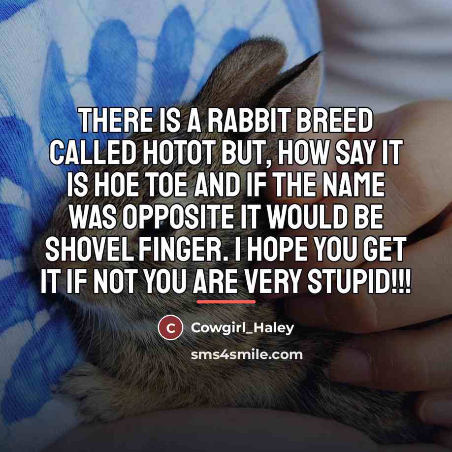 “There is a rabbit breed called Hotot but, how say…” quote by Cowgirl_Haley