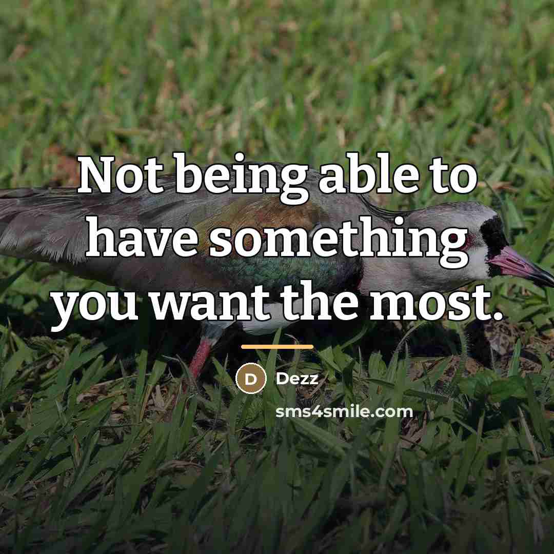 “Not being able to have something you want the most.…” quote by Dezz